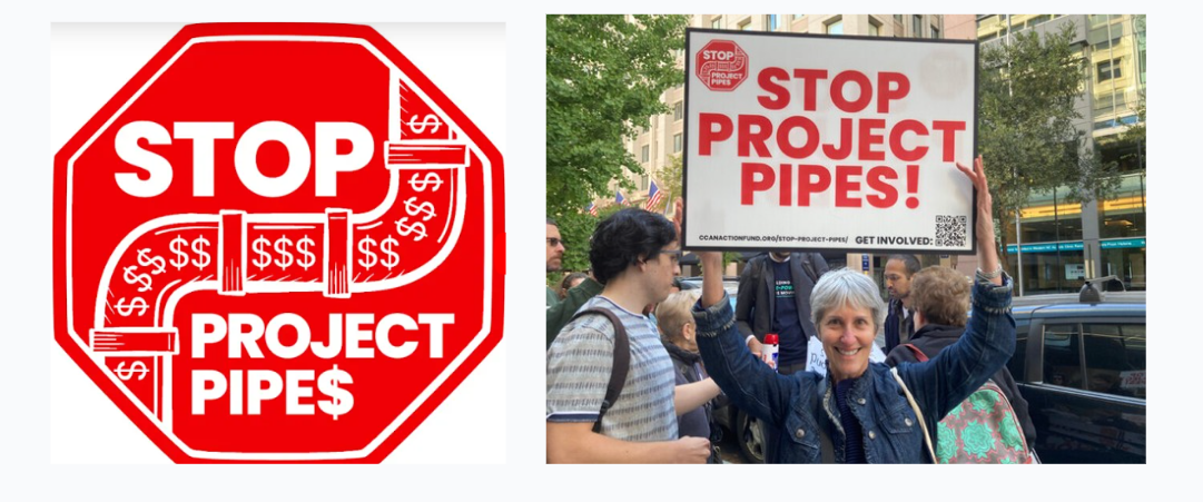 Nature Forward Opposes Project Pipes III
